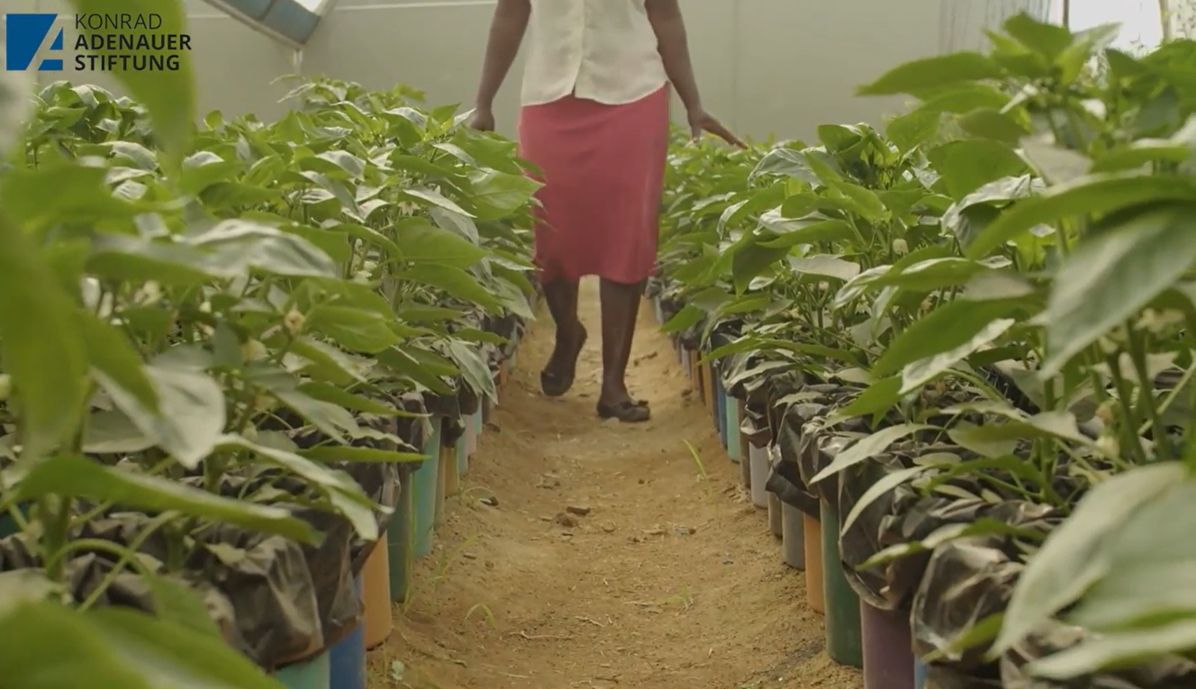 The Hunger Games - Food Insecurity in Zimbabwe Documentary